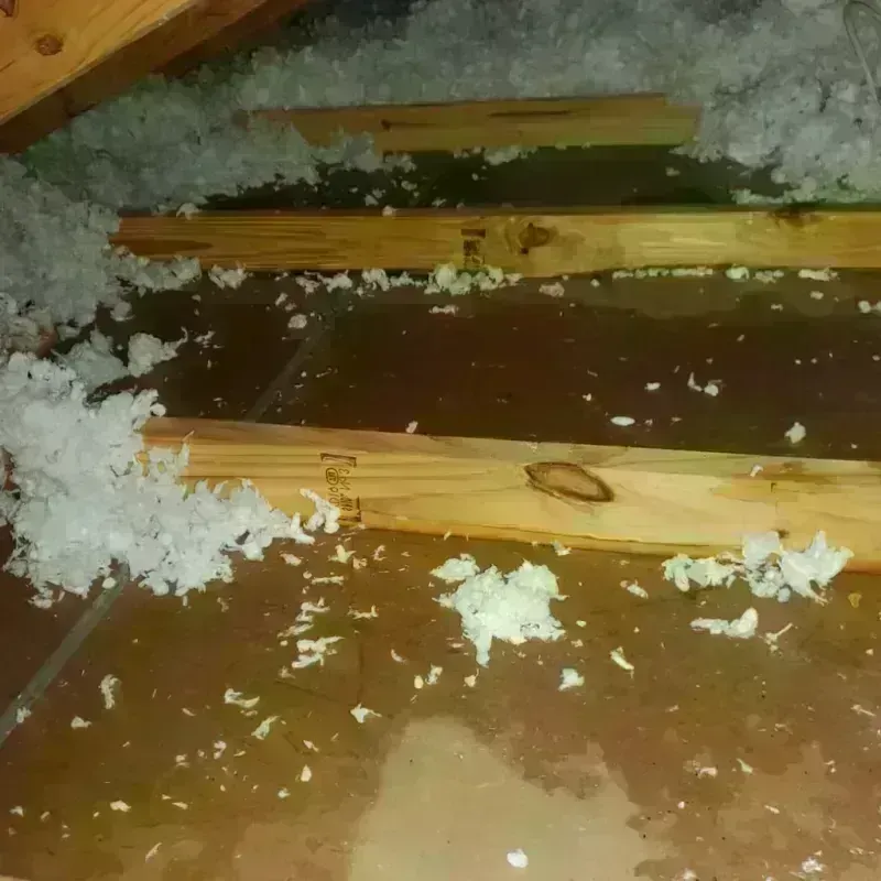 Attic Water Damage in Altoona, WI