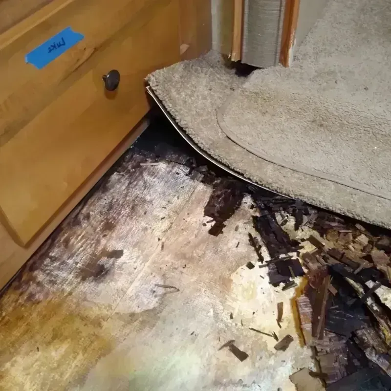 Wood Floor Water Damage in Altoona, WI